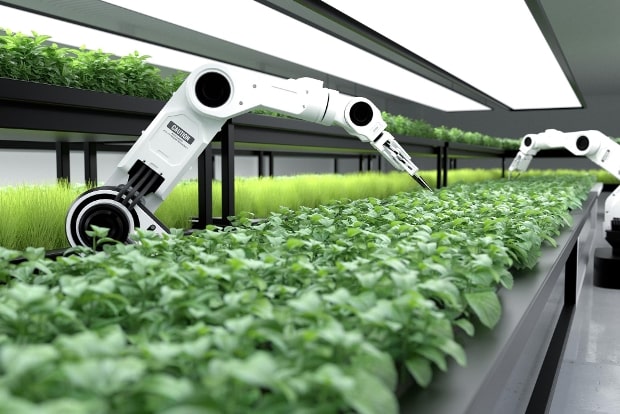 Cultivating the Future: Precision Agriculture Technologies